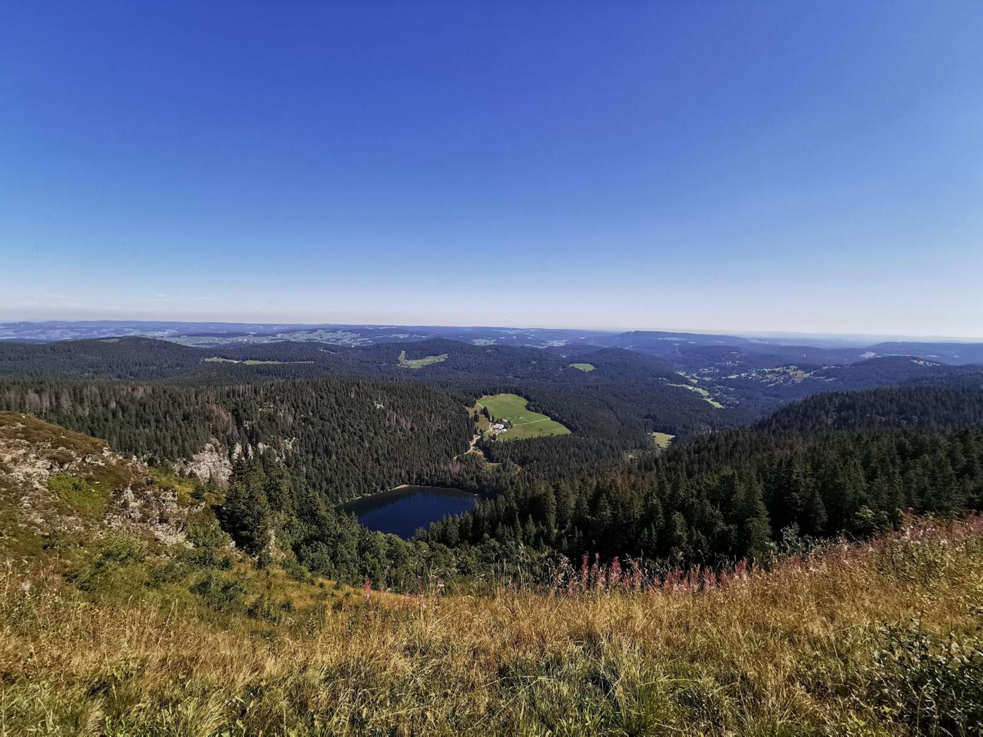 Fewo 1 - Residenz Schauinsland - Mit Sauna, E-Ladestation, Todtnauberg, Bei Feldberg מראה חיצוני תמונה