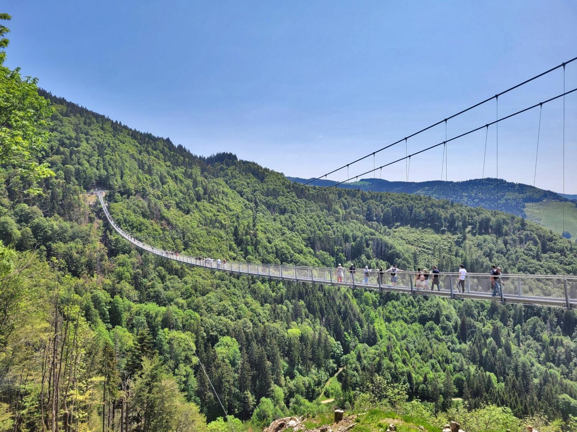 Fewo 1 - Residenz Schauinsland - Mit Sauna, E-Ladestation, Todtnauberg, Bei Feldberg מראה חיצוני תמונה