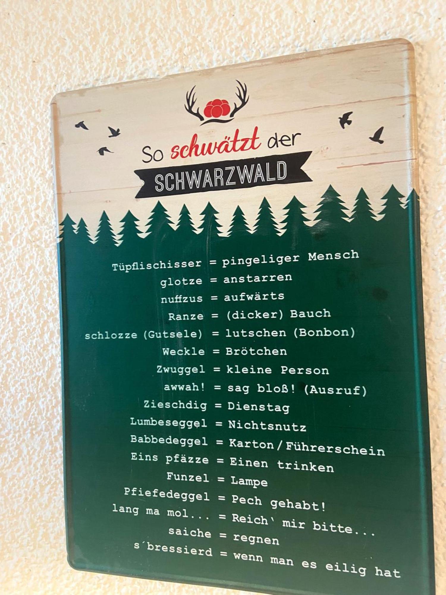 Fewo 1 - Residenz Schauinsland - Mit Sauna, E-Ladestation, Todtnauberg, Bei Feldberg מראה חיצוני תמונה